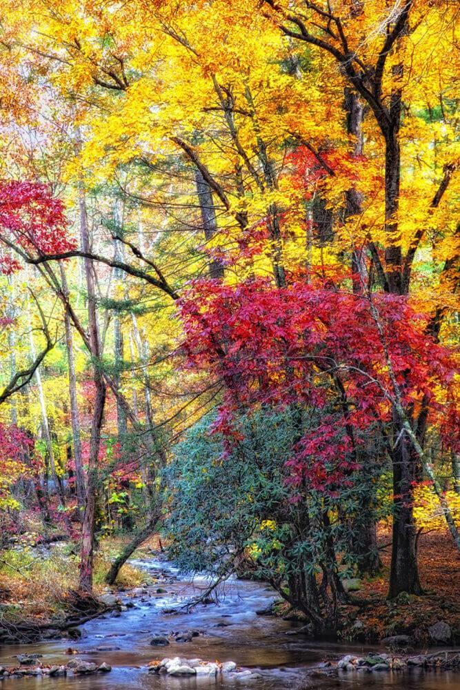 Luxurious Condo, Pool, Fireplace, Hiking Gatlinburg Esterno foto